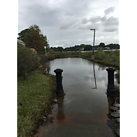 King tide Chesapeake image